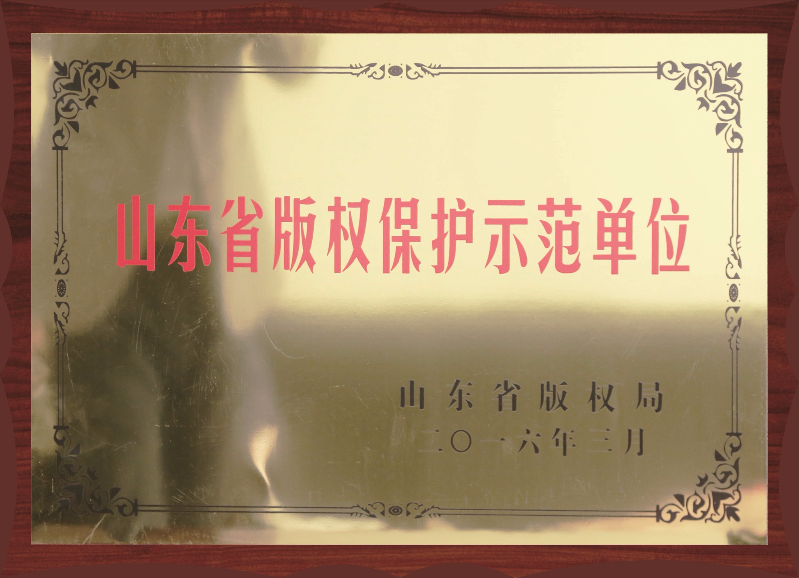 山东省版权保护示范单位