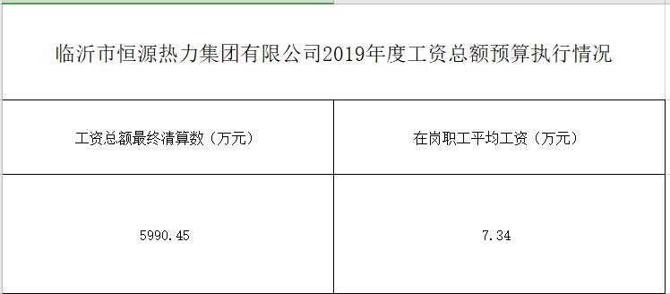 临沂市恒源热力集团有限公司2019年度工资总额预算执行情况